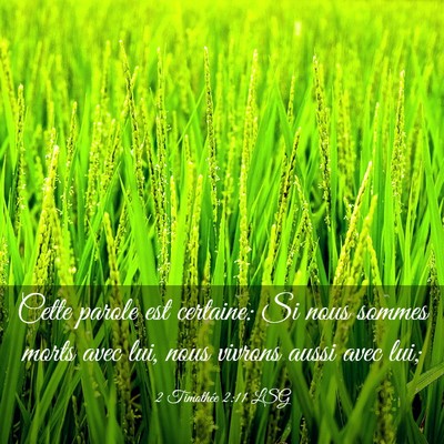 Picture 03 - 2 Timothée 2:11 LSG - Cette parole est certaine: Si nous sommes morts - Bible Verse Picture
