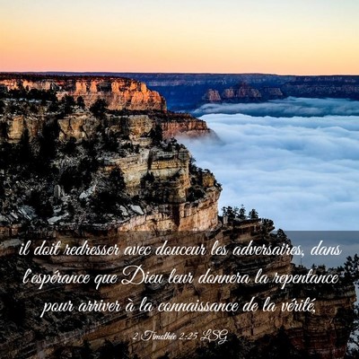 Picture 03 - 2 Timothée 2:25 LSG - il doit redresser avec douceur les adversaires, - Bible Verse Picture