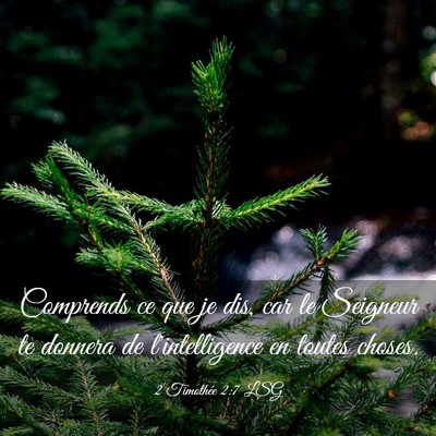 Picture 03 - 2 Timothée 2:7 LSG - Comprends ce que je dis, car le Seigneur te - Bible Verse Picture