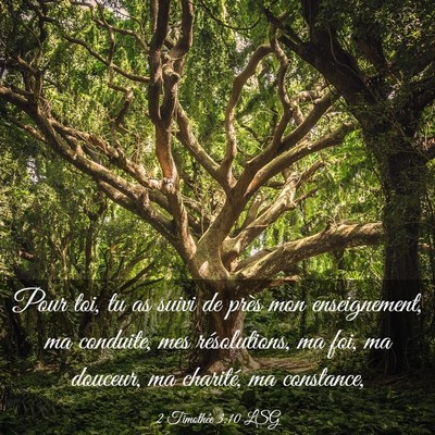 Picture 03 - 2 Timothée 3:10 LSG - Pour toi, tu as suivi de près mon enseignement, - Bible Verse Picture