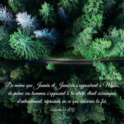 Picture 03 - 2 Timothée 3:8 LSG - De même que Jannès et Jambrès s'opposèrent à - Bible Verse Picture