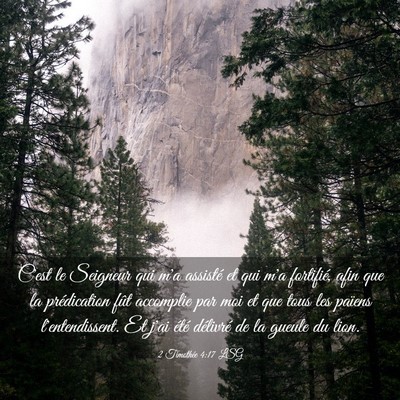 Picture 03 - 2 Timothée 4:17 LSG - C'est le Seigneur qui m'a assisté et qui m'a - Bible Verse Picture
