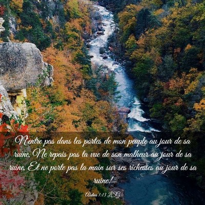 Picture 03 - Abdias 1:13 LSG - N'entre pas dans les portes de mon peuple au jour - Bible Verse Picture