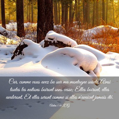 Picture 03 - Abdias 1:16 LSG - Car, comme vous avez bu sur ma montagne sainte, - Bible Verse Picture