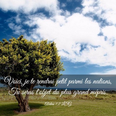 Picture 03 - Abdias 1:2 LSG - Voici, je te rendrai petit parmi les nations, Tu - Bible Verse Picture