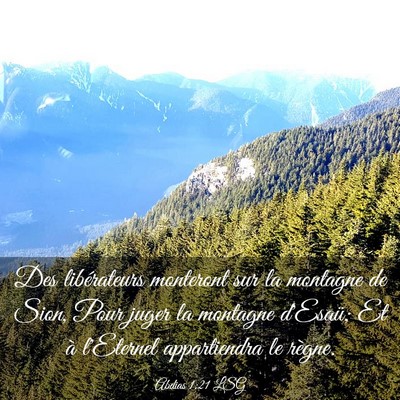 Picture 03 - Abdias 1:21 LSG - Des libérateurs monteront sur la montagne de - Bible Verse Picture