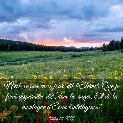Picture 03 - Abdias 1:8 LSG - N'est-ce pas en ce jour, dit l'Eternel, Que je - Bible Verse Picture