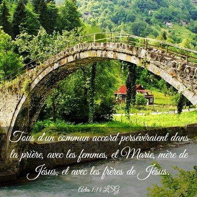 Picture 03 - Actes 1:14 LSG - Tous d'un commun accord persévéraient dans la - Bible Verse Picture