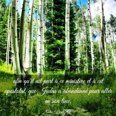 Picture 03 - Actes 1:25 LSG - afin qu'il ait part à ce ministère et à cet - Bible Verse Picture