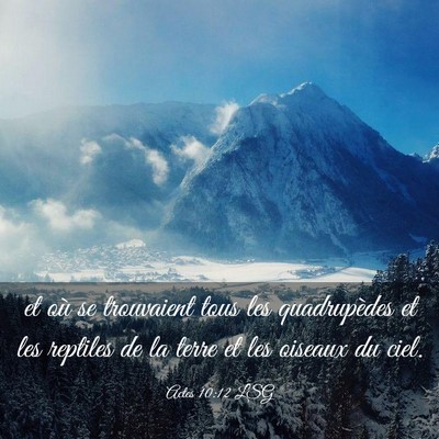 Picture 03 - Actes 10:12 LSG - et où se trouvaient tous les quadrupèdes et les - Bible Verse Picture
