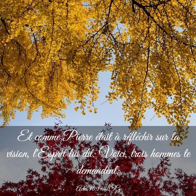 Picture 03 - Actes 10:19 LSG - Et comme Pierre était à réfléchir sur la - Bible Verse Picture