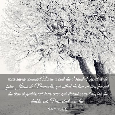 Picture 03 - Actes 10:38 LSG - vous savez comment Dieu a oint du Saint-Esprit et - Bible Verse Picture