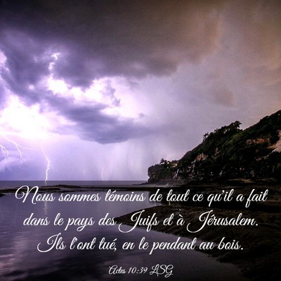 Picture 03 - Actes 10:39 LSG - Nous sommes témoins de tout ce qu'il a fait dans - Bible Verse Picture