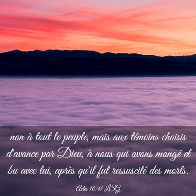 Picture 03 - Actes 10:41 LSG - non à tout le peuple, mais aux témoins choisis - Bible Verse Picture
