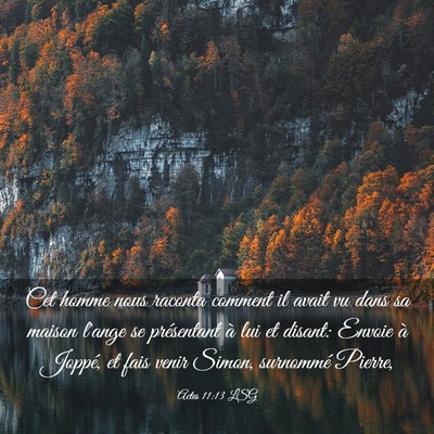 Picture 03 - Actes 11:13 LSG - Cet homme nous raconta comment il avait vu dans - Bible Verse Picture
