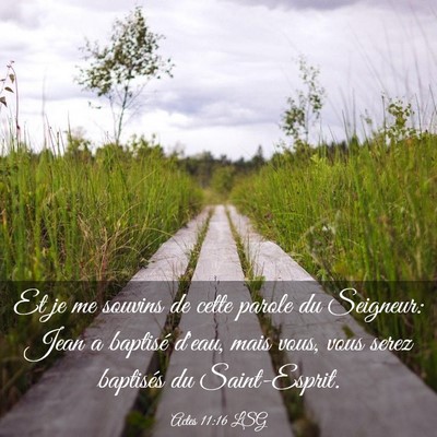 Picture 03 - Actes 11:16 LSG - Et je me souvins de cette parole du Seigneur: - Bible Verse Picture