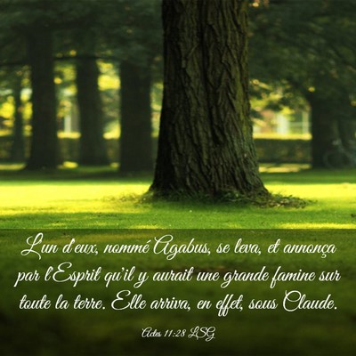 Picture 03 - Actes 11:28 LSG - L'un d'eux, nommé Agabus, se leva, et annonça - Bible Verse Picture