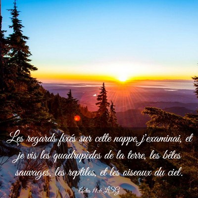 Picture 03 - Actes 11:6 LSG - Les regards fixés sur cette nappe, j'examinai, - Bible Verse Picture