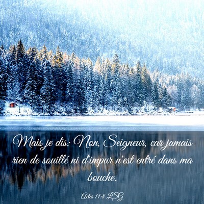 Picture 03 - Actes 11:8 LSG - Mais je dis: Non, Seigneur, car jamais rien de - Bible Verse Picture