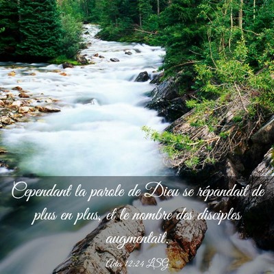 Picture 03 - Actes 12:24 LSG - Cependant la parole de Dieu se répandait de plus - Bible Verse Picture