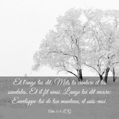 Picture 03 - Actes 12:8 LSG - Et l'ange lui dit: Mets ta ceinture et tes - Bible Verse Picture