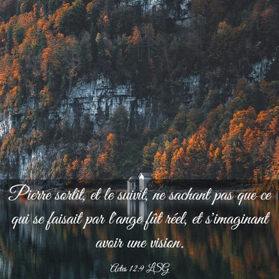 Picture 03 - Actes 12:9 LSG - Pierre sortit, et le suivit, ne sachant pas que - Bible Verse Picture