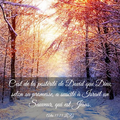 Picture 03 - Actes 13:23 LSG - C'est de la postérité de David que Dieu, selon - Bible Verse Picture