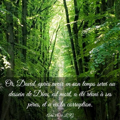 Picture 03 - Actes 13:36 LSG - Or, David, après avoir en son temps servi au - Bible Verse Picture