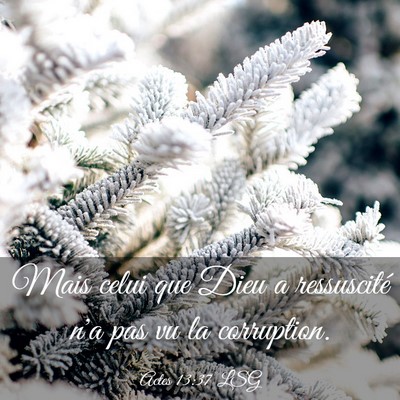 Picture 03 - Actes 13:37 LSG - Mais celui que Dieu a ressuscité n'a pas vu la - Bible Verse Picture