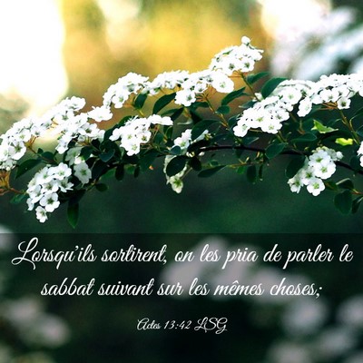 Picture 03 - Actes 13:42 LSG - Lorsqu'ils sortirent, on les pria de parler le - Bible Verse Picture