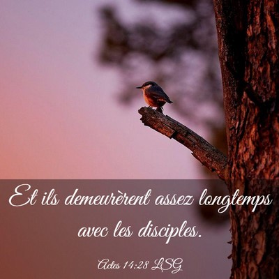 Picture 03 - Actes 14:28 LSG - Et ils demeurèrent assez longtemps avec les - Bible Verse Picture