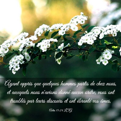 Picture 03 - Actes 15:24 LSG - Ayant appris que quelques hommes partis de chez - Bible Verse Picture