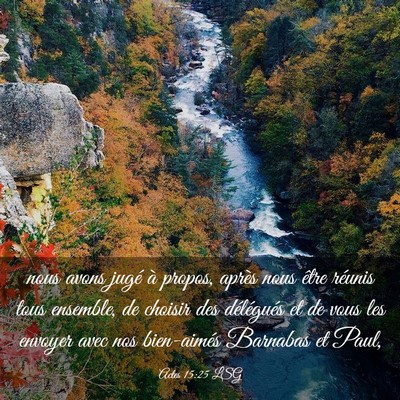 Picture 03 - Actes 15:25 LSG - nous avons jugé à propos, après nous être - Bible Verse Picture