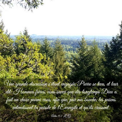 Picture 03 - Actes 15:7 LSG - Une grande discussion s'étant engagée, Pierre - Bible Verse Picture