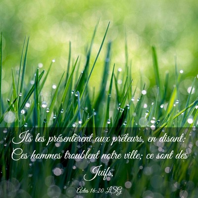 Picture 03 - Actes 16:20 LSG - Ils les présentèrent aux préteurs, en disant: - Bible Verse Picture