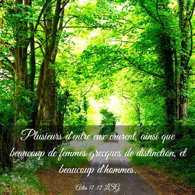 Picture 03 - Actes 17:12 LSG - Plusieurs d'entre eux crurent, ainsi que beaucoup - Bible Verse Picture