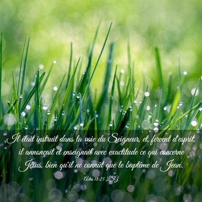 Picture 03 - Actes 18:25 LSG - Il était instruit dans la voie du Seigneur, et, - Bible Verse Picture