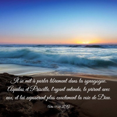 Picture 03 - Actes 18:26 LSG - Il se mit à parler librement dans la synagogue. - Bible Verse Picture