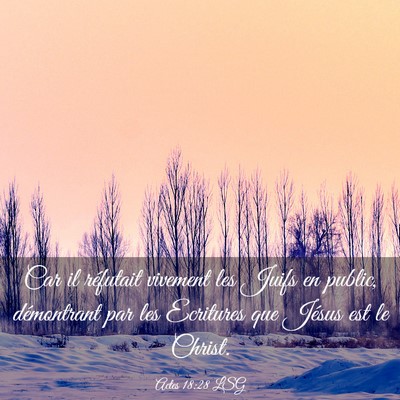 Picture 03 - Actes 18:28 LSG - Car il réfutait vivement les Juifs en public, - Bible Verse Picture