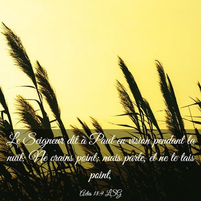 Picture 03 - Actes 18:9 LSG - Le Seigneur dit à Paul en vision pendant la - Bible Verse Picture