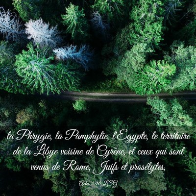 Picture 03 - Actes 2:10 LSG - la Phrygie, la Pamphylie, l'Egypte, le territoire - Bible Verse Picture