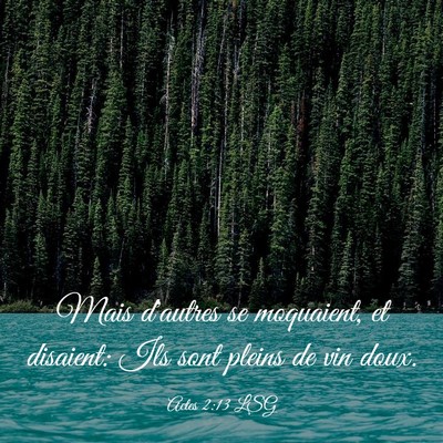 Picture 03 - Actes 2:13 LSG - Mais d'autres se moquaient, et disaient: Ils sont - Bible Verse Picture