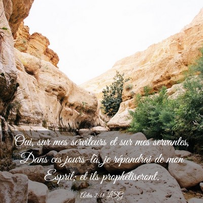 Picture 03 - Actes 2:18 LSG - Oui, sur mes serviteurs et sur mes servantes, - Bible Verse Picture