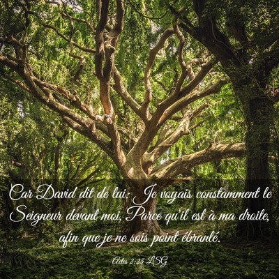 Picture 03 - Actes 2:25 LSG - Car David dit de lui: Je voyais constamment le - Bible Verse Picture