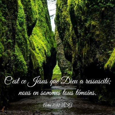 Picture 03 - Actes 2:32 LSG - C'est ce Jésus que Dieu a ressuscité; nous en - Bible Verse Picture