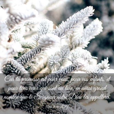 Picture 03 - Actes 2:39 LSG - Car la promesse est pour vous, pour vos enfants, - Bible Verse Picture