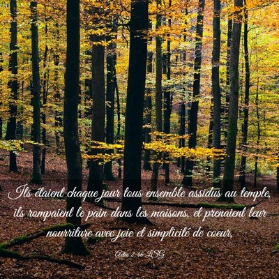 Picture 03 - Actes 2:46 LSG - Ils étaient chaque jour tous ensemble assidus au - Bible Verse Picture