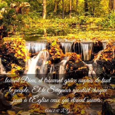 Picture 03 - Actes 2:47 LSG - louant Dieu, et trouvant grâce auprès de tout - Bible Verse Picture