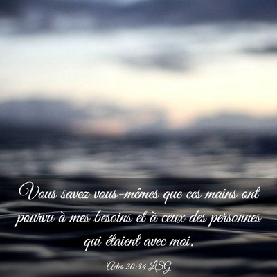 Picture 03 - Actes 20:34 LSG - Vous savez vous-mêmes que ces mains ont pourvu - Bible Verse Picture