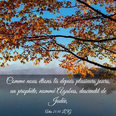 Picture 03 - Actes 21:10 LSG - Comme nous étions là depuis plusieurs jours, un - Bible Verse Picture